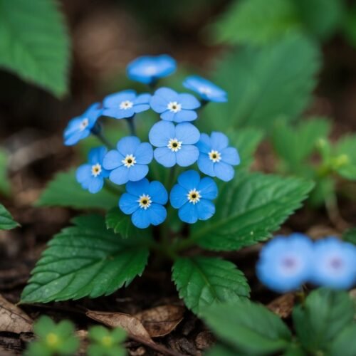 Forget Me Not: A Charming Wildflower for Your Garden